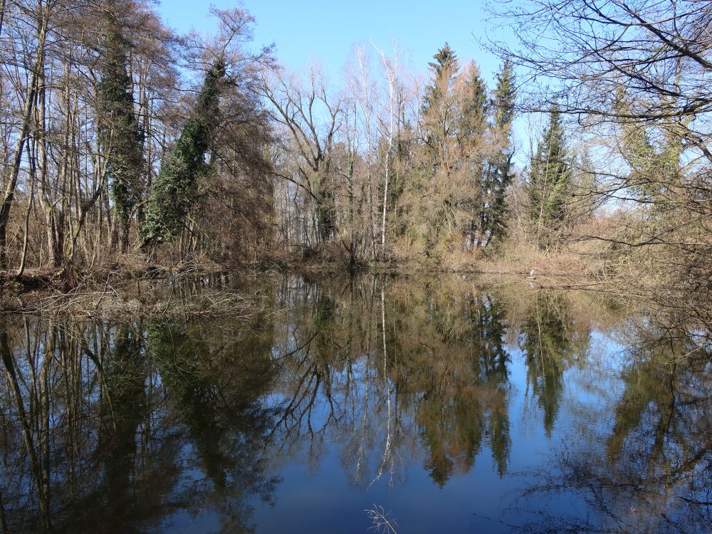 Mühliweiher