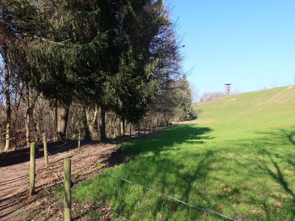 Pfad am Waldrand