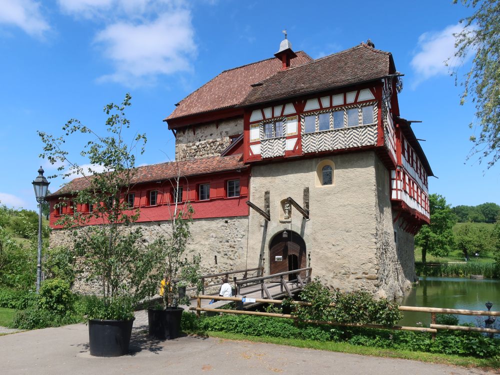 Schloss Hagenwil