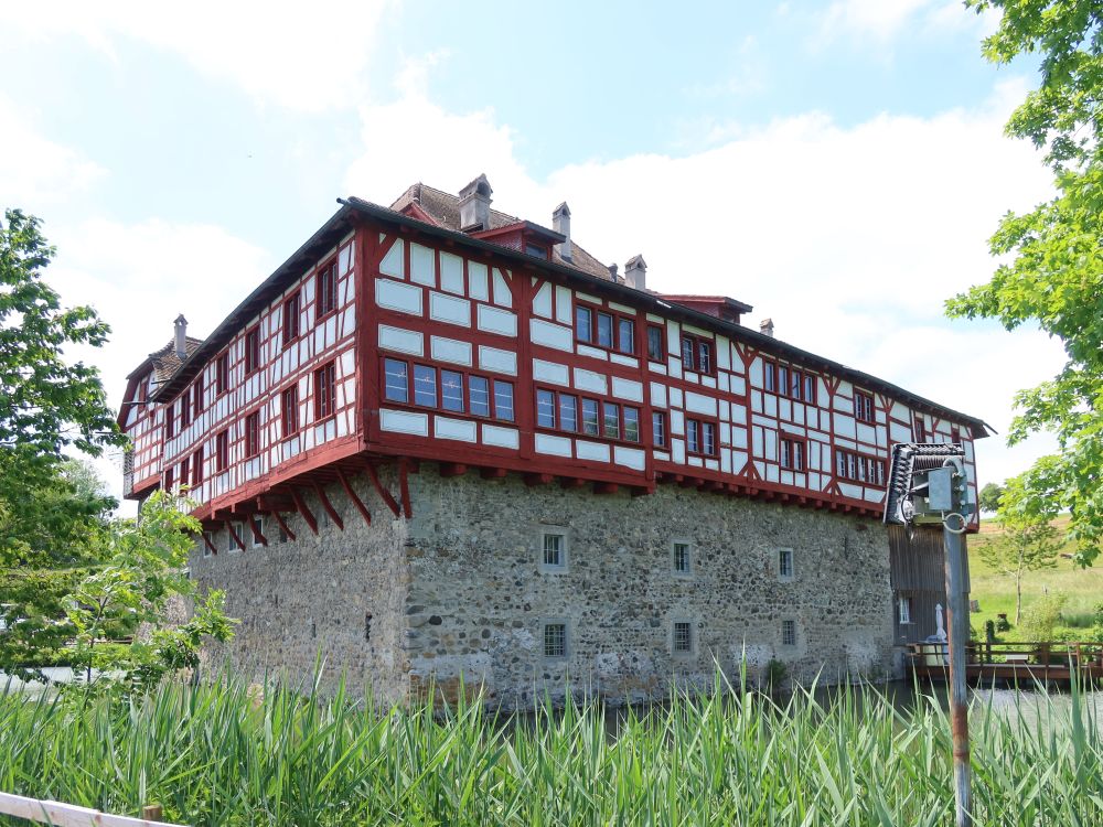 Schloss Hagenwil