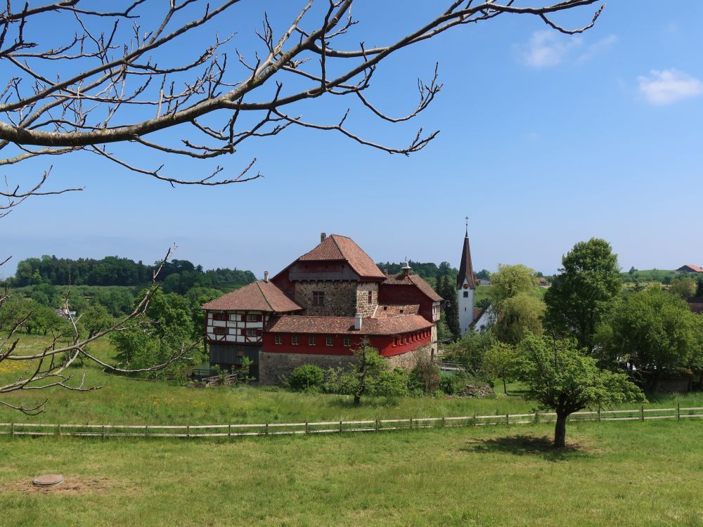 Schloss Hagenwil