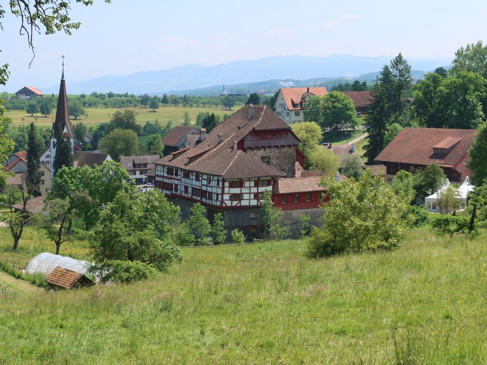 Schloss Hagenwil