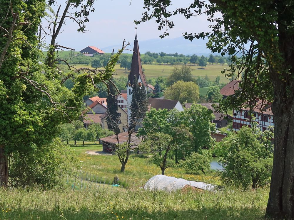 Kirche Hagenwil