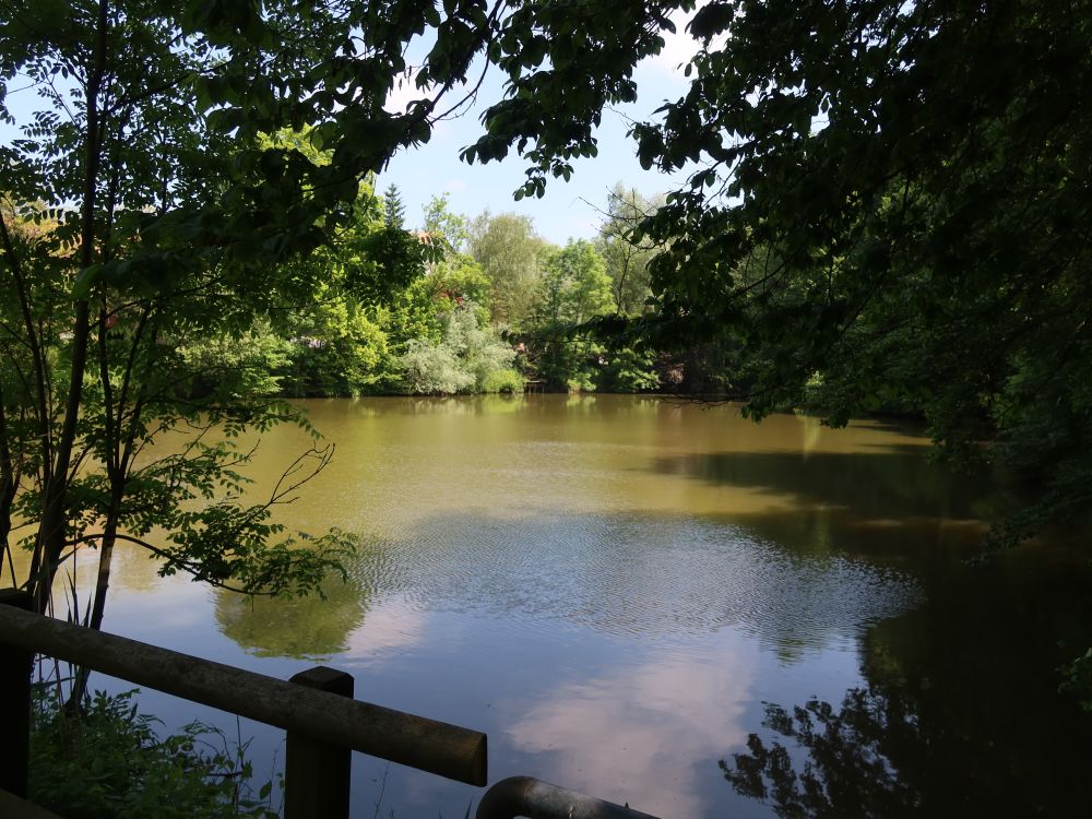 Teich bei Bergermüli