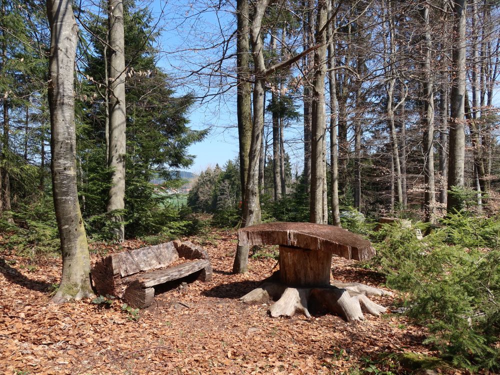 Sitzgruppe im Wald