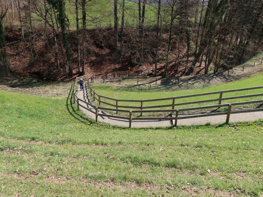 Wanderweg bei Neuchlen