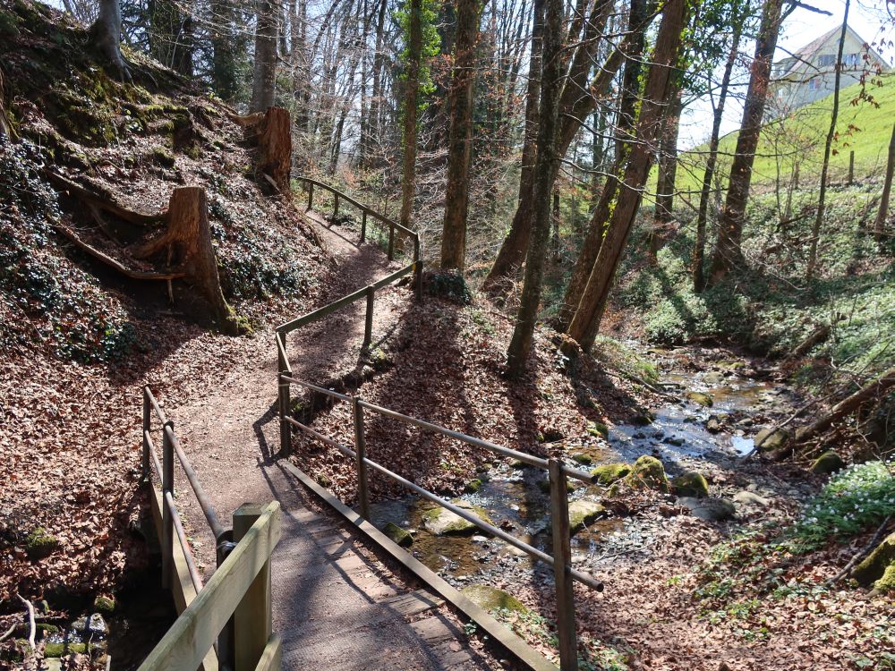 Wanderweg bei Neuchlen