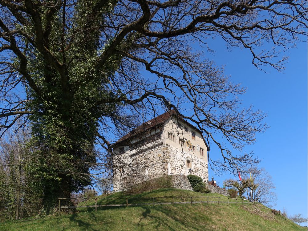 Schloss Oberberg