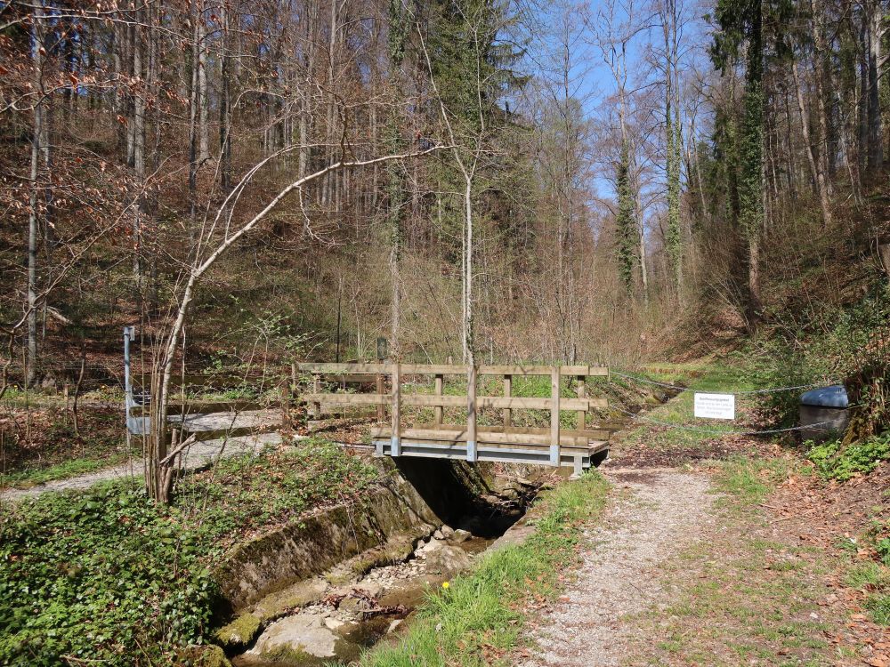 Steg am Litenweg