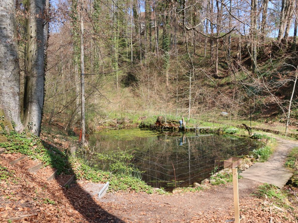 Teich am Litenweg