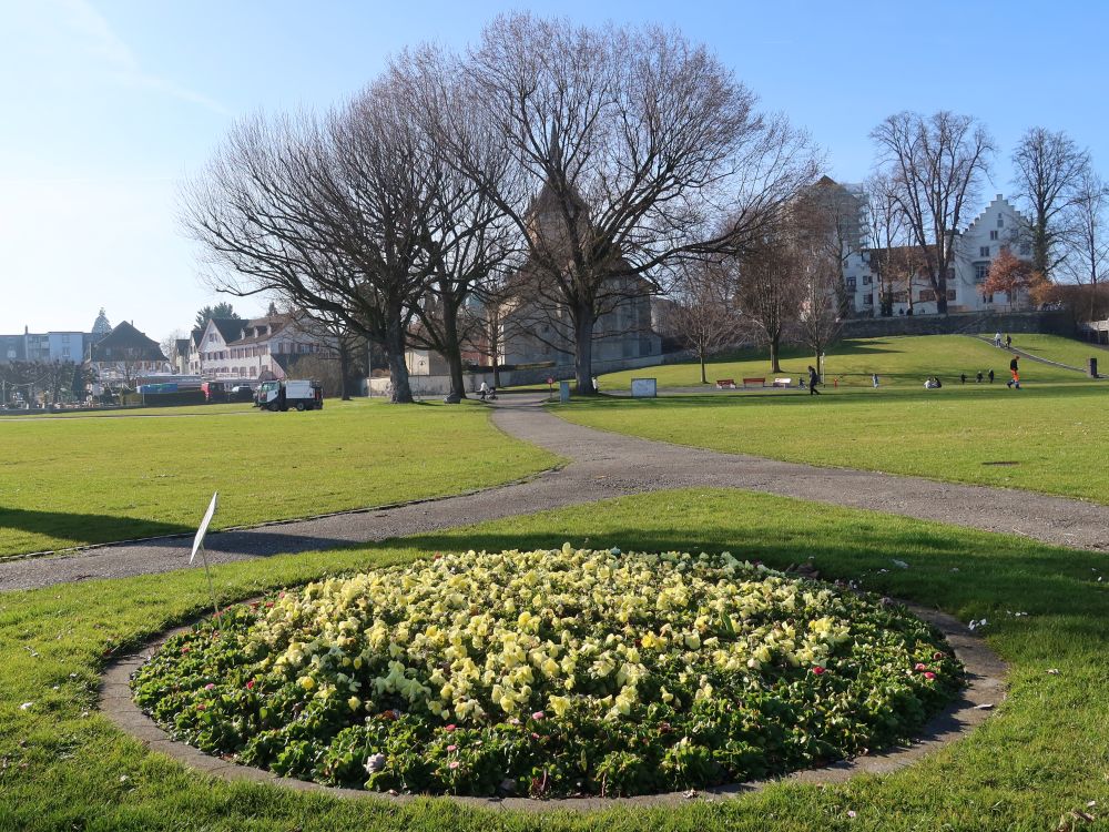 Schlosswiese