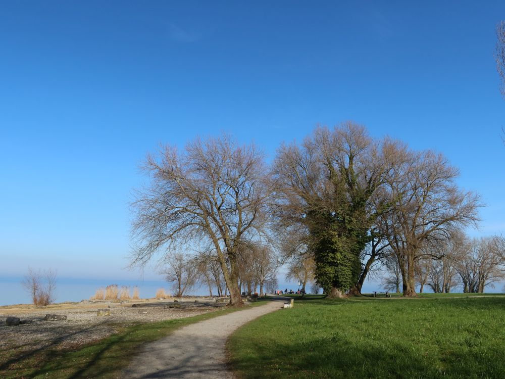 Seepark Arbon
