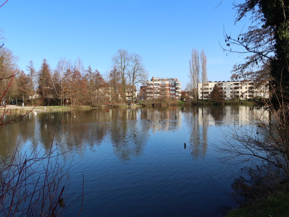 Arboner Weiher