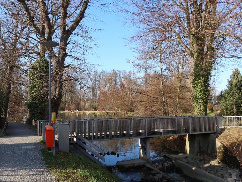 Steg am Arboner Weiher