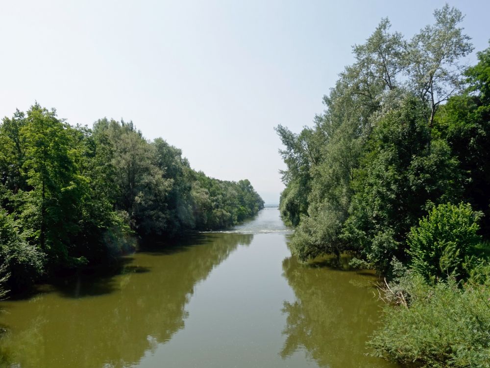 Argen, Blick Richtung Mündung