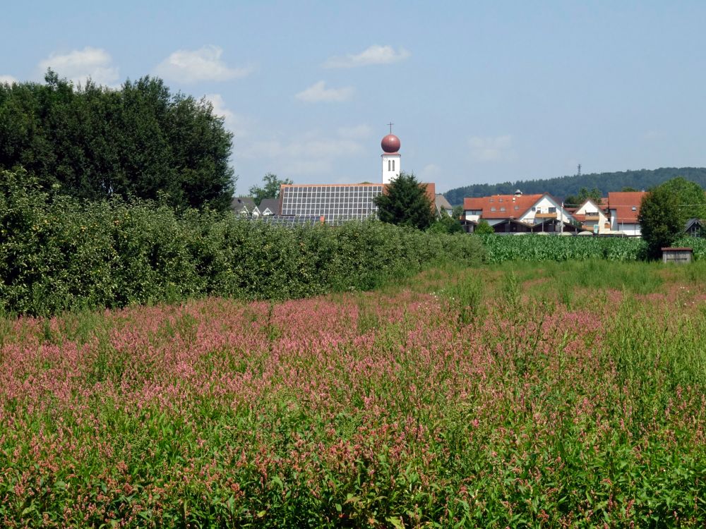 Kirche von Kressbronn