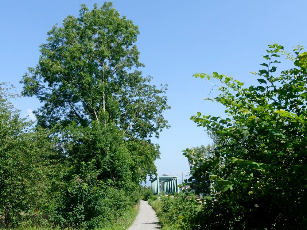 Eisenbahnbrücke