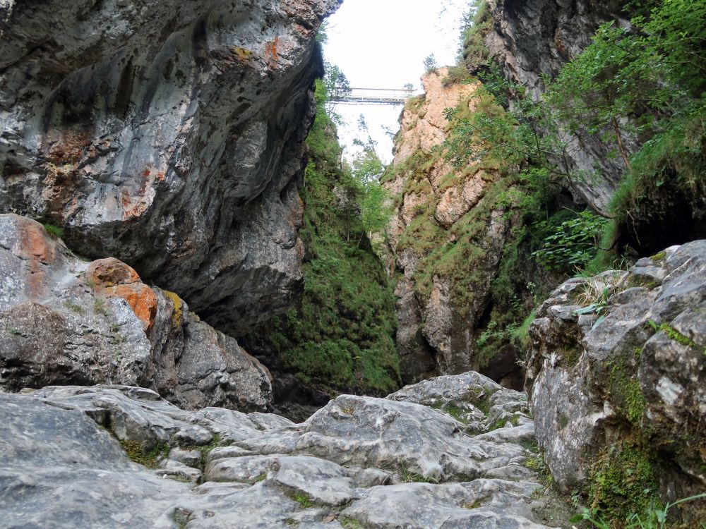 Asamklamm mit Schluchtblick-Steg