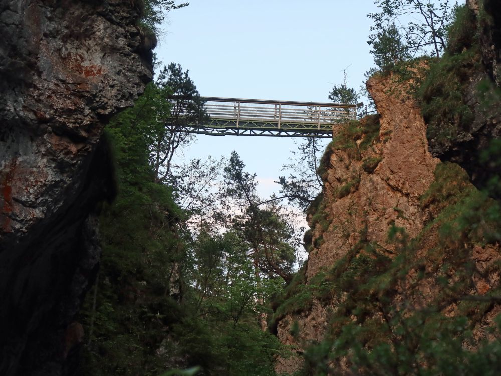 Asamklamm mit Schluchtblick-Steg