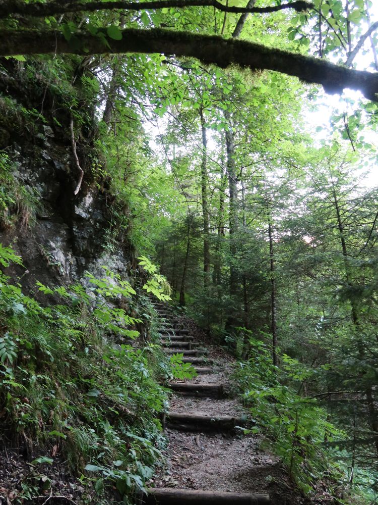 Treppe in Asamklamm