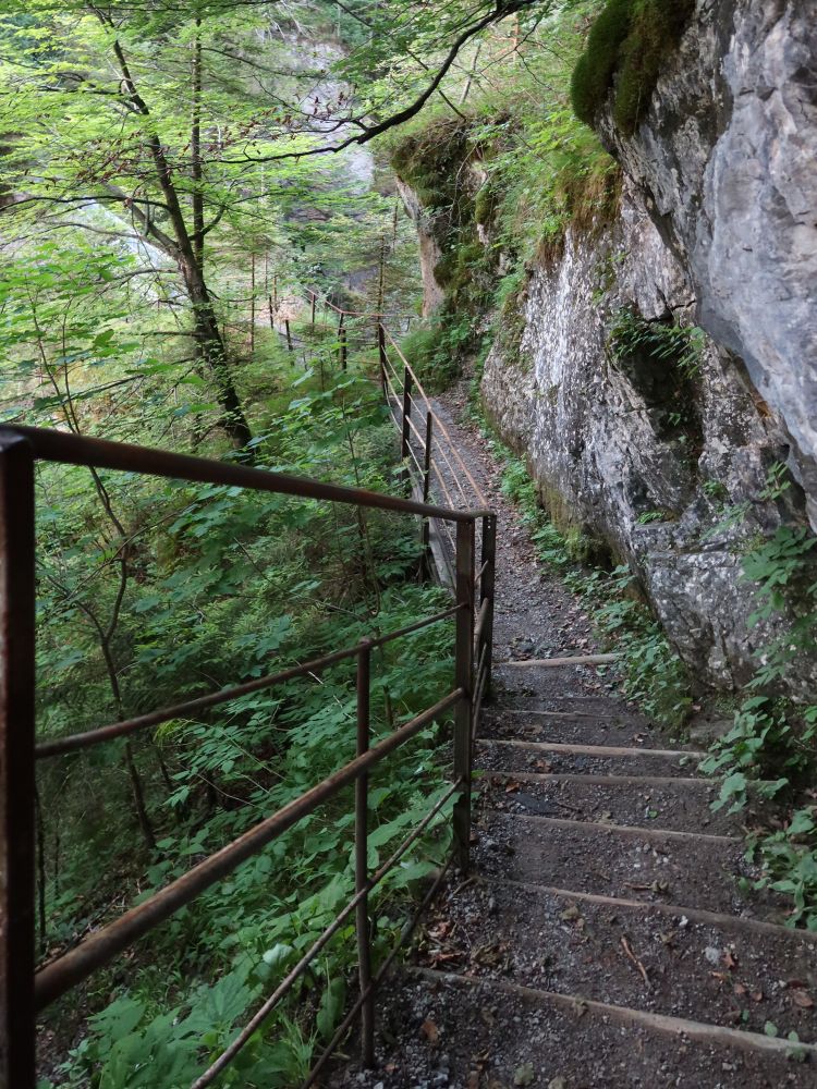 Steig oberhalb Asamklamm