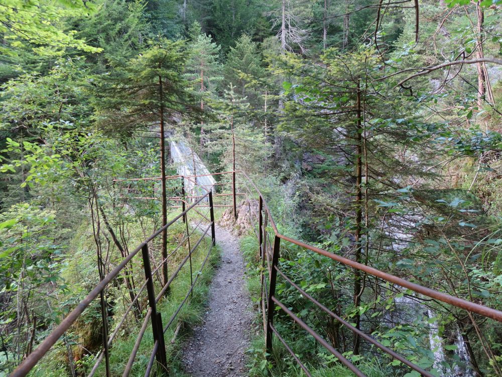 Steig oberhalb Asamklamm