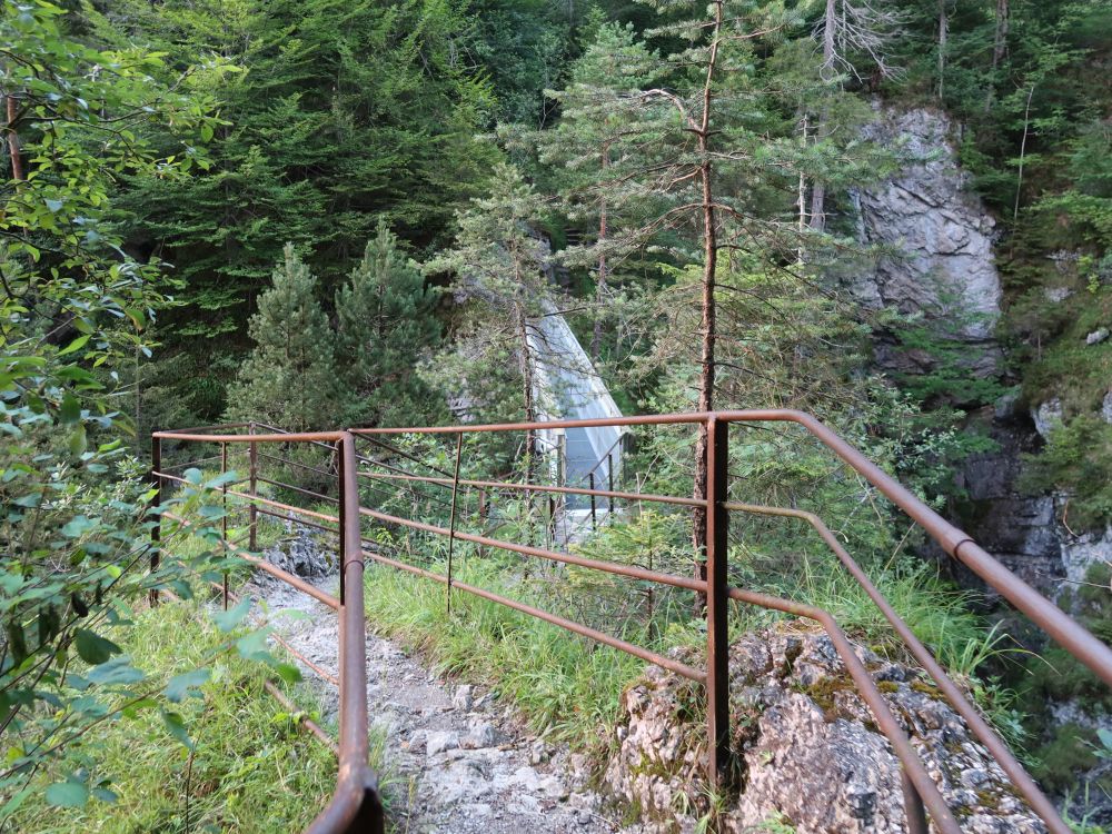 Steig oberhalb Asamklamm