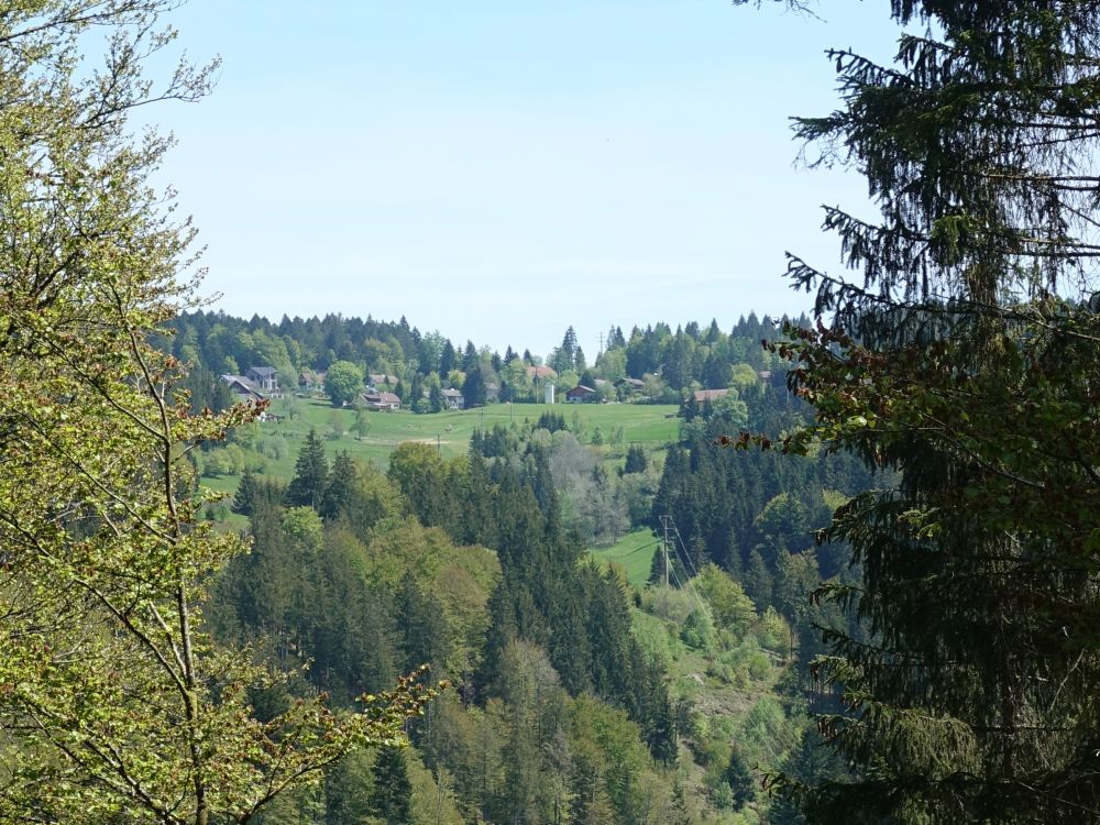 Blick über das Wehratal