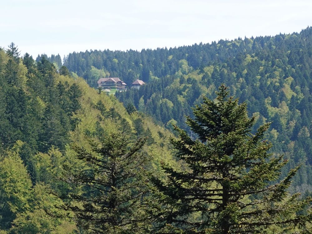 Blick über das Wehratal