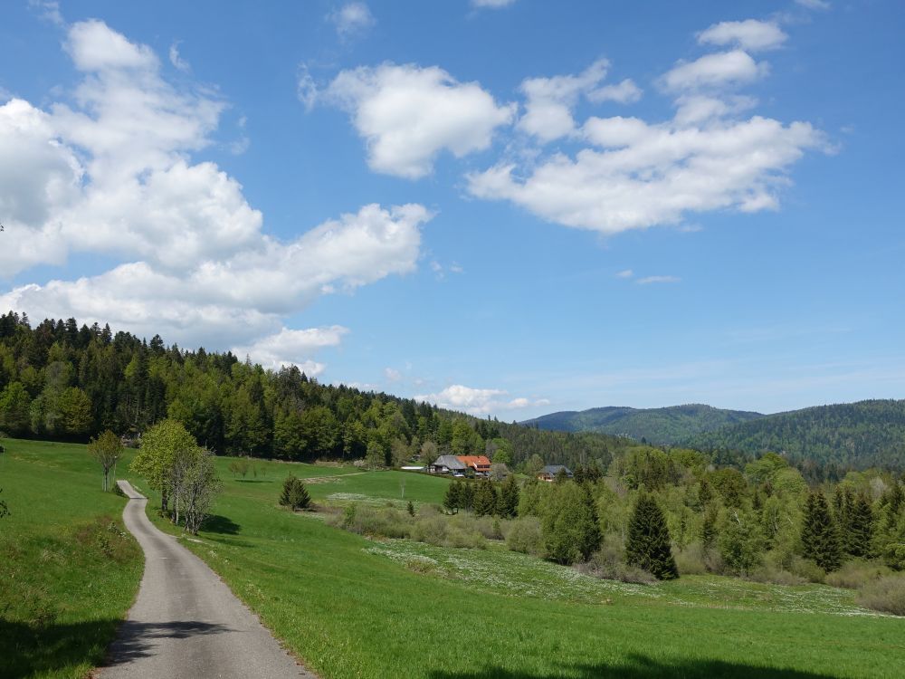 Blick Richtung Wachshütte