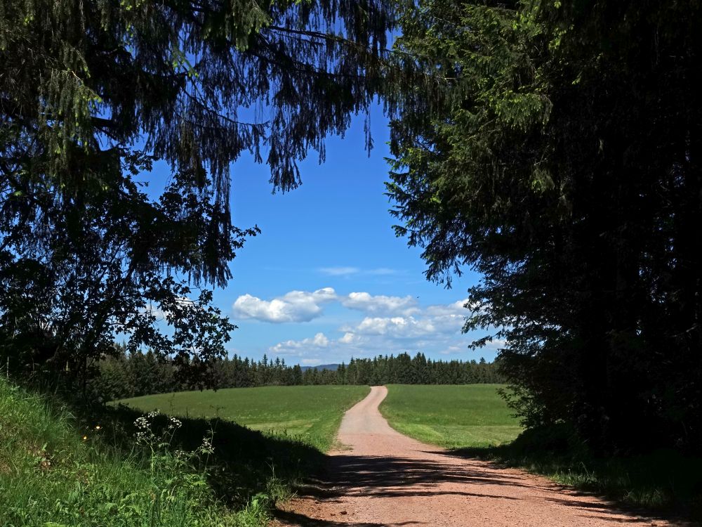 Wirtschaftsweg auf Ödland