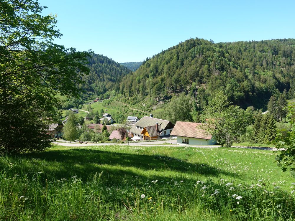 Blick auf Au-Todtmoos