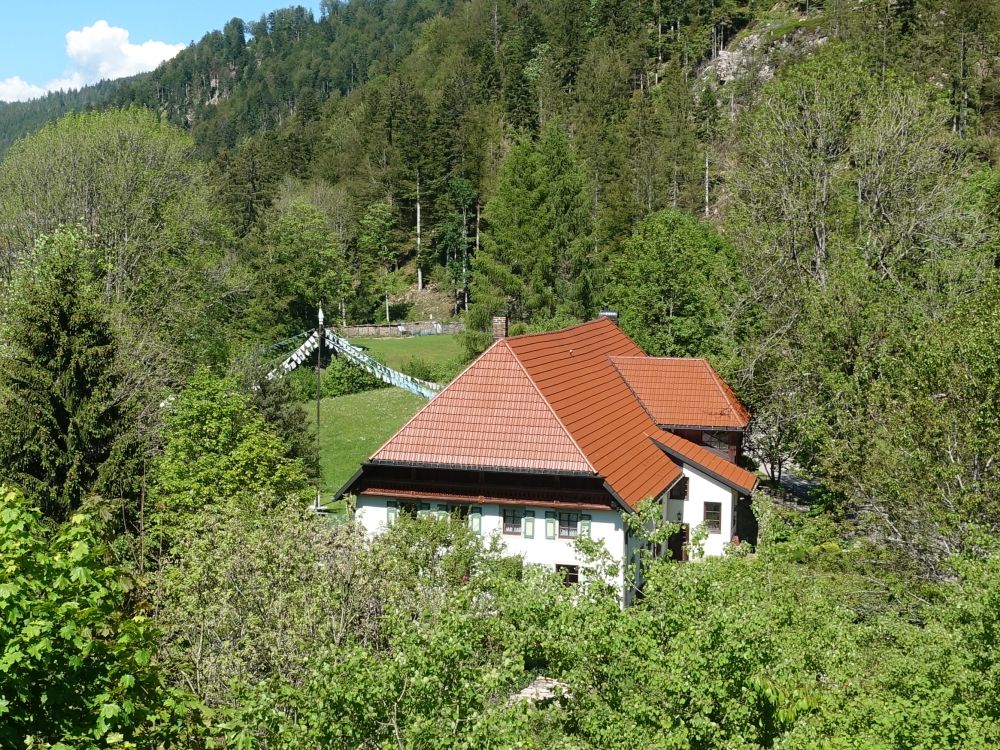 Haus in Au-Todtmoos