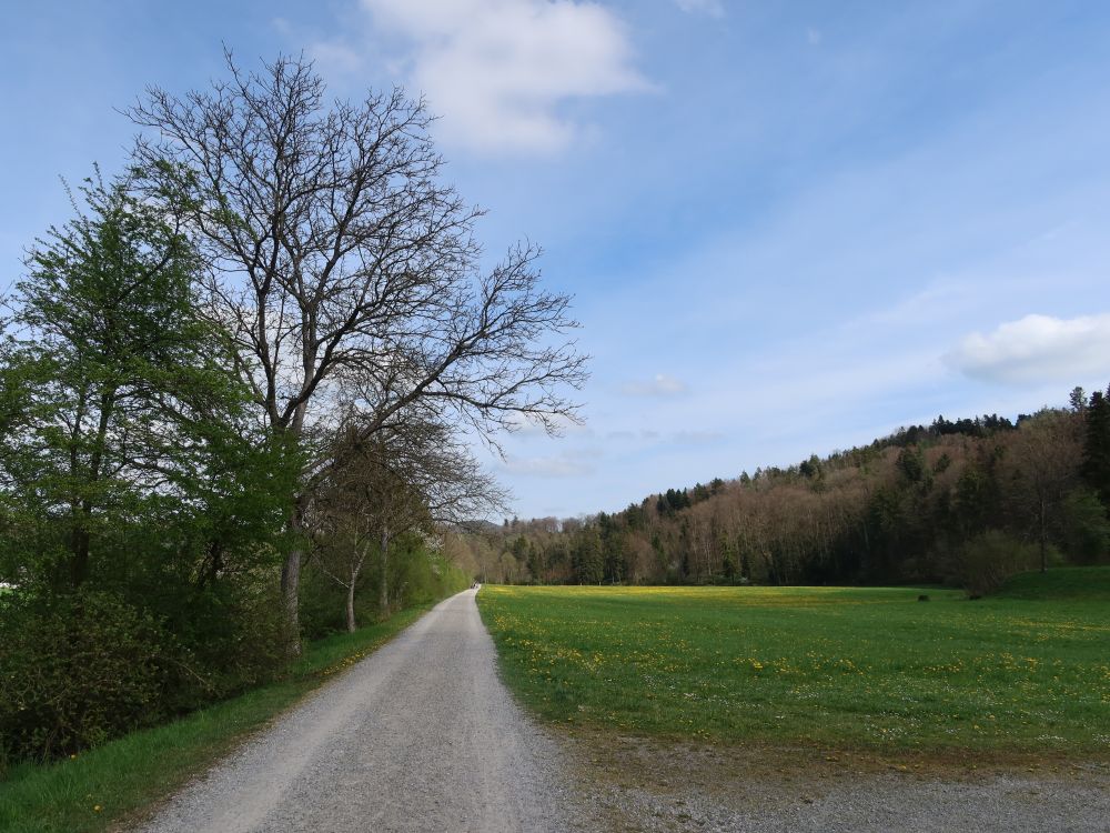 Untere Murgebene