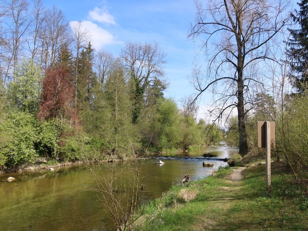 Murg beim Weiher Wide