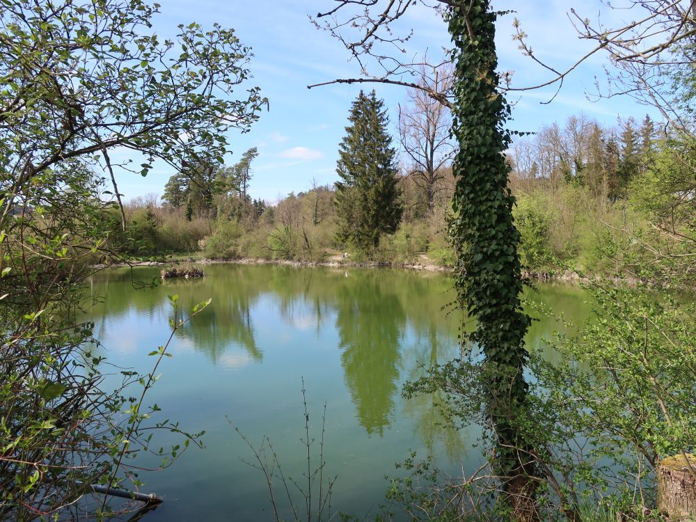Weiher Wide