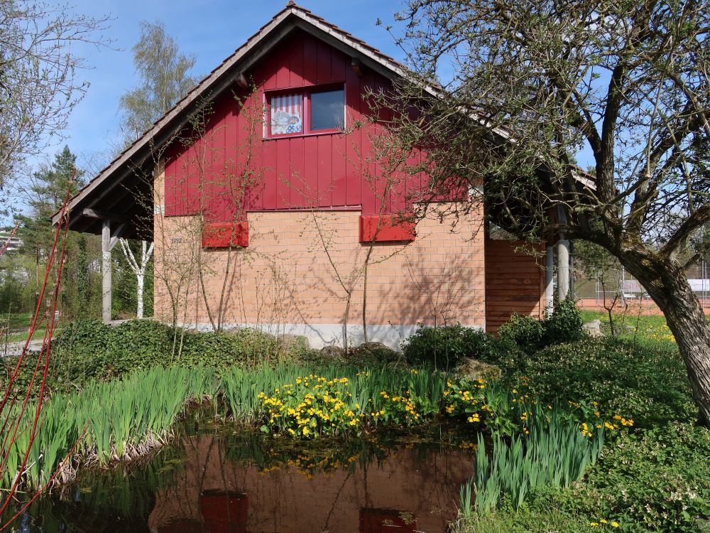 Gebäude mit Teich