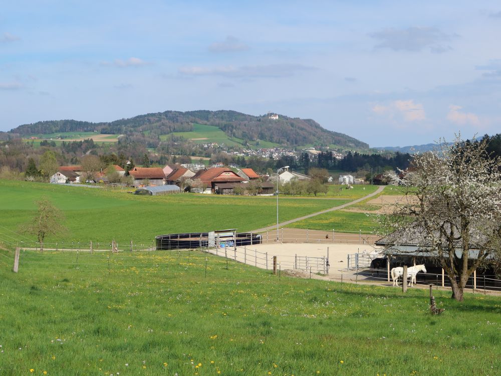 Matzingen und Sonnenberg