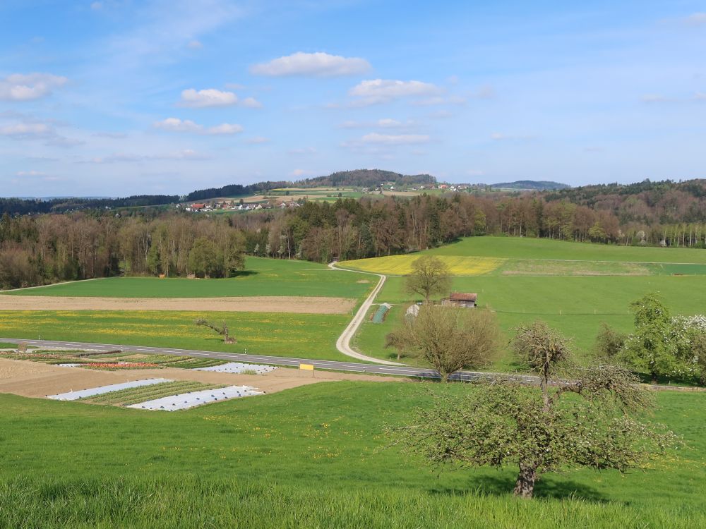 Blick Richtung Osten