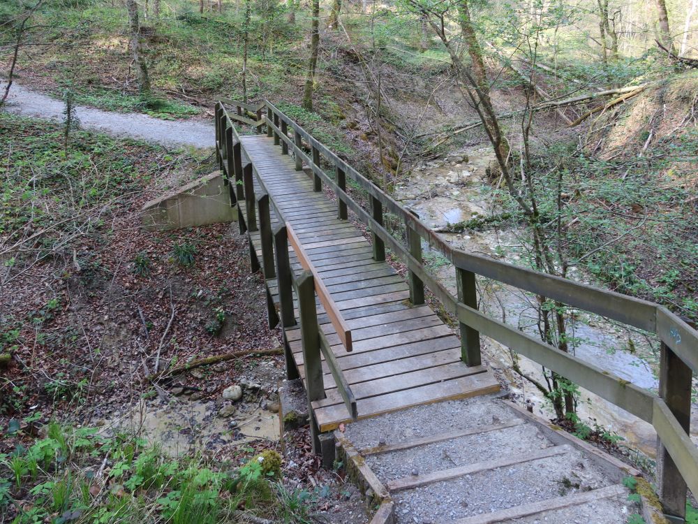 Treppe und Steg in der Cholgrueb