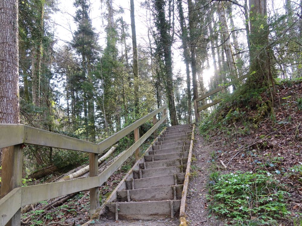 Treppe und Steg in der Cholgrueb
