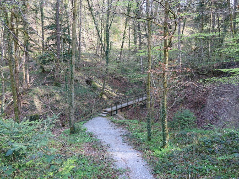 Steg bei Tüüfelschuchi