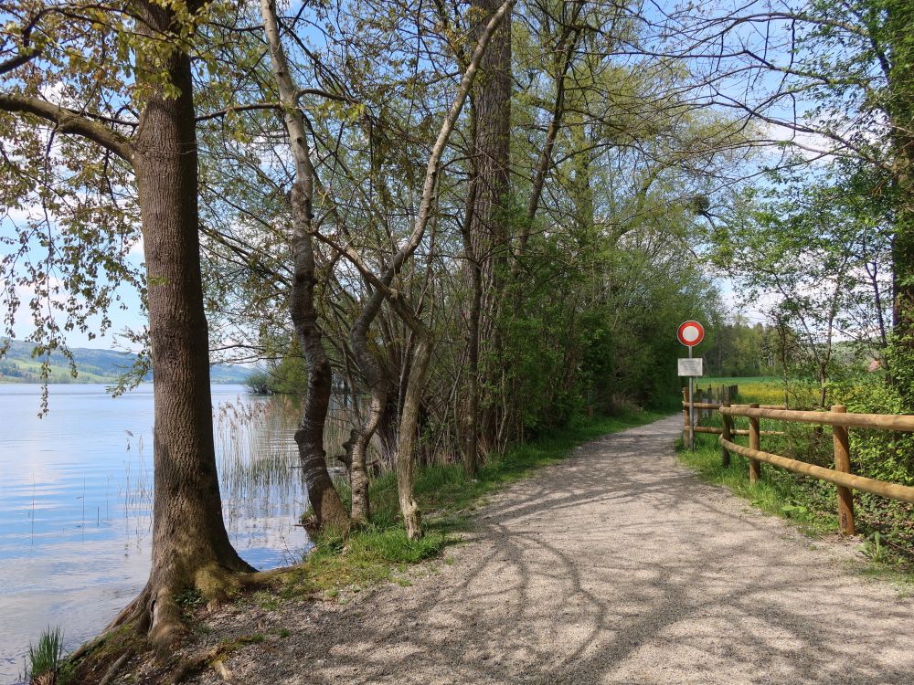 Uferweg bei Baldegg