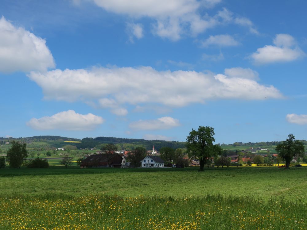 Blick Richtung Kleinwangen