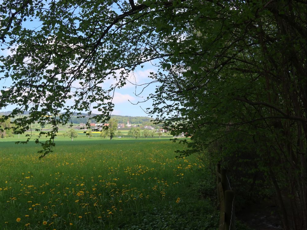 Blick Richtung Kleinwangen