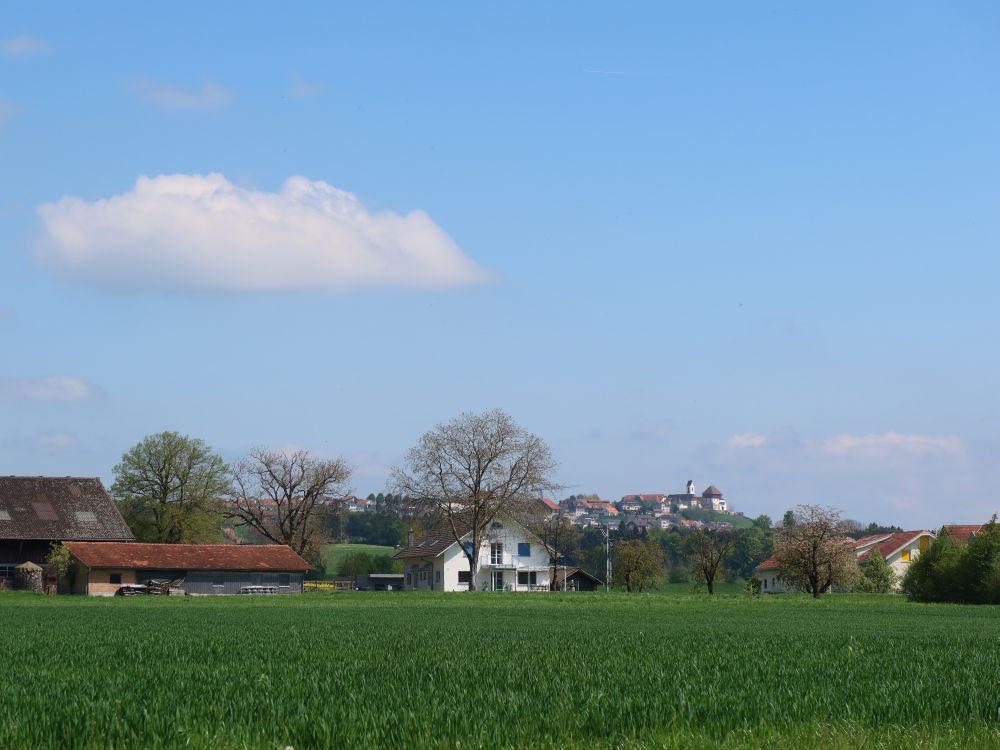 Blick Richtung Hohenrain