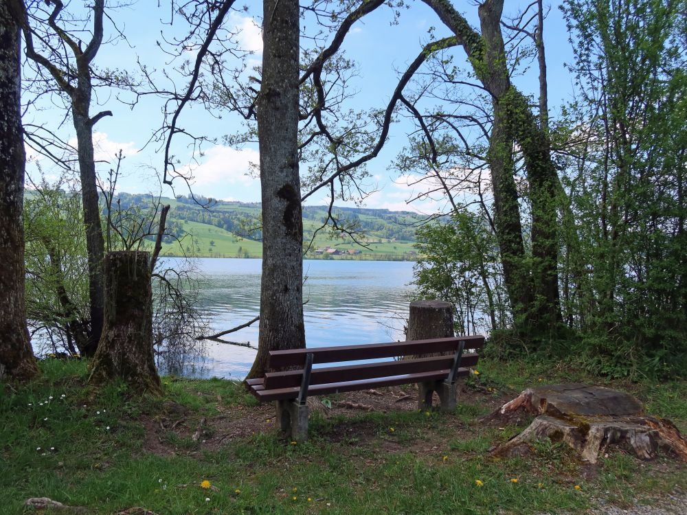 Sitzbank am Baldeggersee