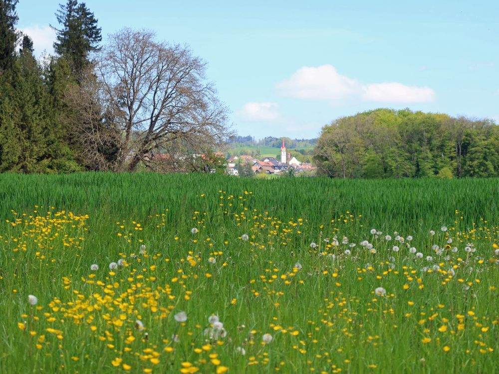 Blick Richtung Kleinwangen