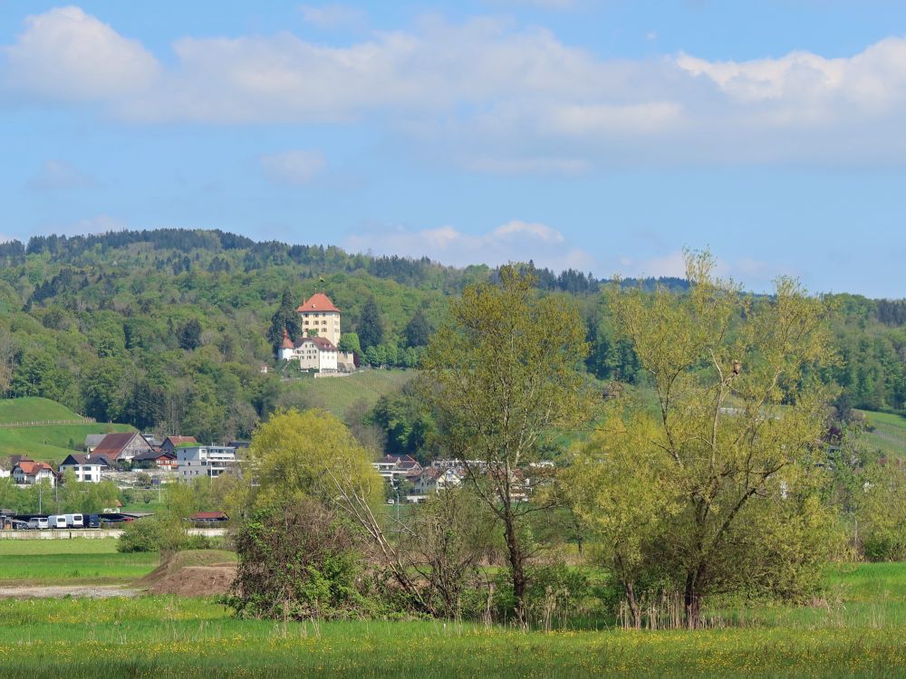 Schloss Heidegg