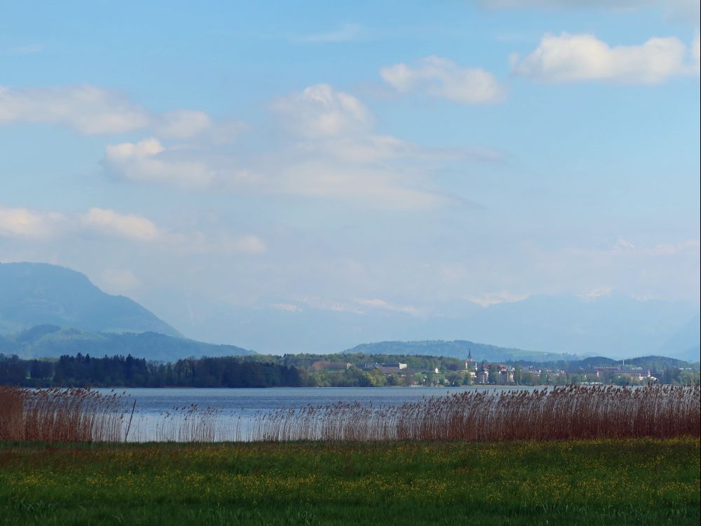 Alpen im Dunst überm Baldeggersee